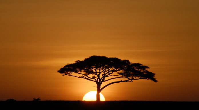 Aventură în Africa: În căutarea răsăritului